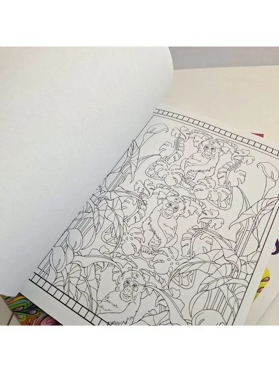 Creative Haven Art Nouveau Animal Fashions Fanciful Faces Coloring Books Lot - Picture 8 of 12